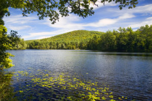 Remote Lake Off the beaten path in a Maine forest.