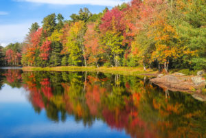 Colorful foliage reflections in pond water on a sunny autumn day in New England
